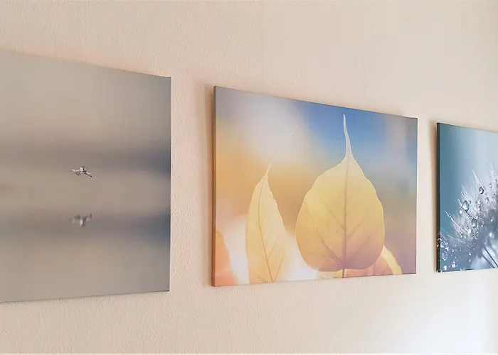 Melarose Feng Shui Berlín