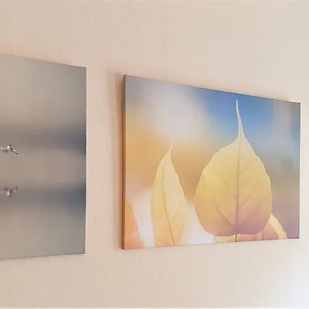 Melarose Feng Shui Berlijn