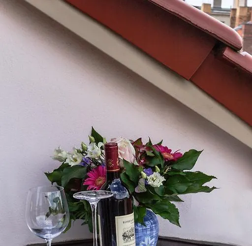 梅拉罗斯·芬·舒酒店 3*